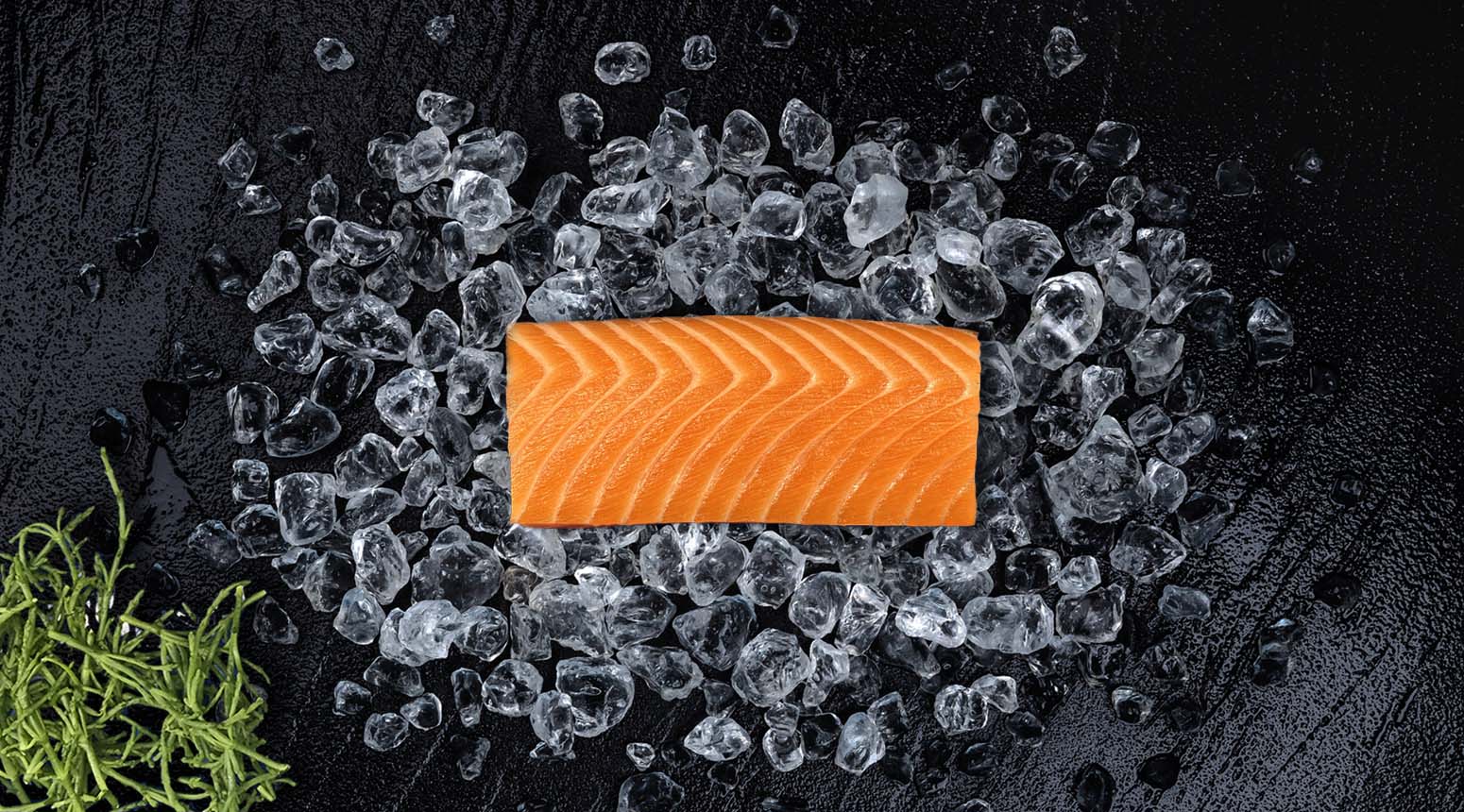 sashimihaasje van zalm