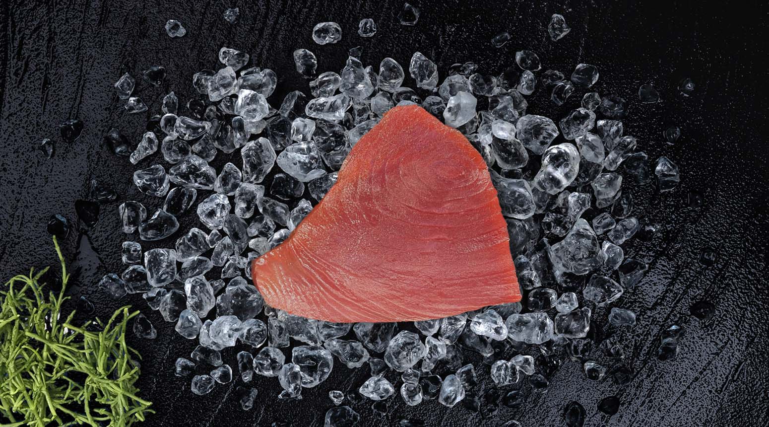 Tonijnfilet