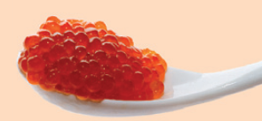 Zalmeitjes – Vishandel STELOY Mortsel