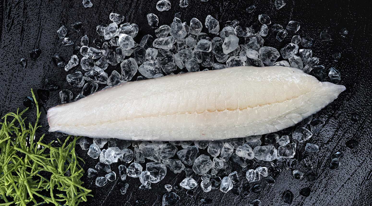 verse grietfilet