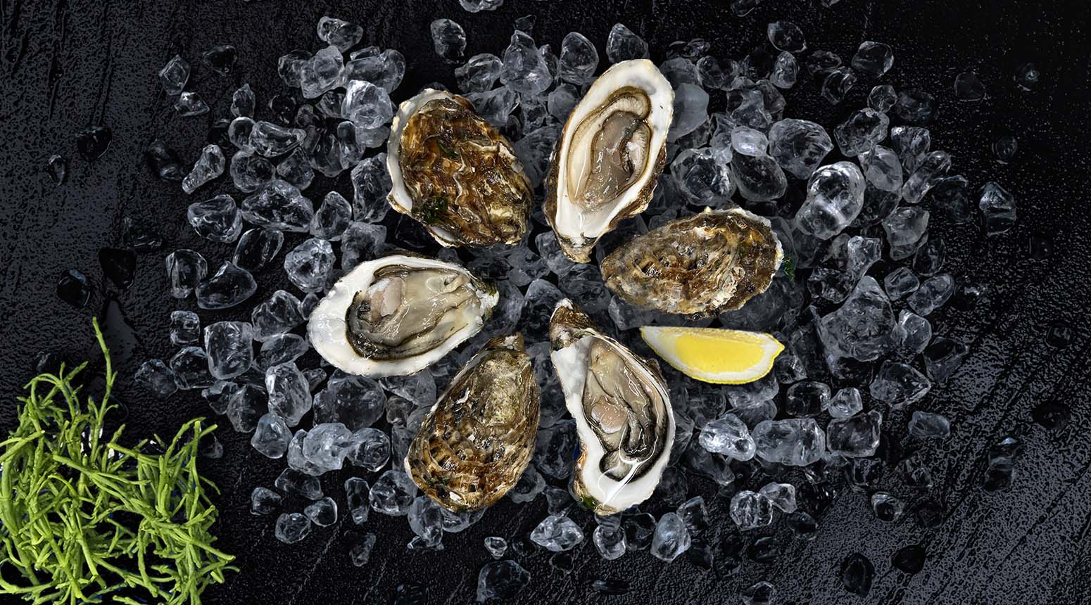 Zeeuwse Oosterschelde creuse
