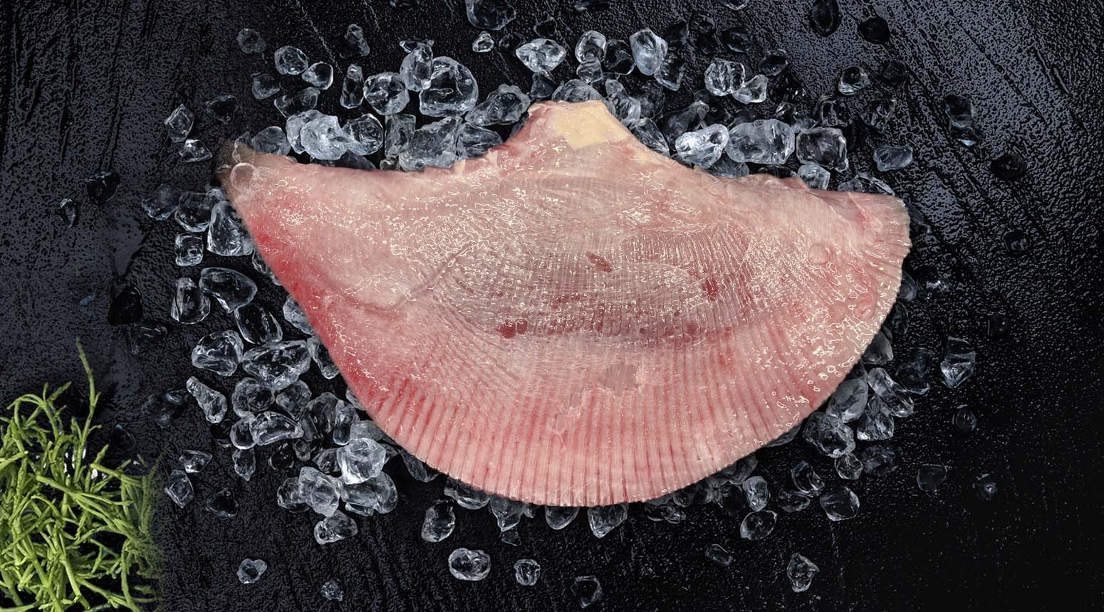 rogfilet - rogvleugel