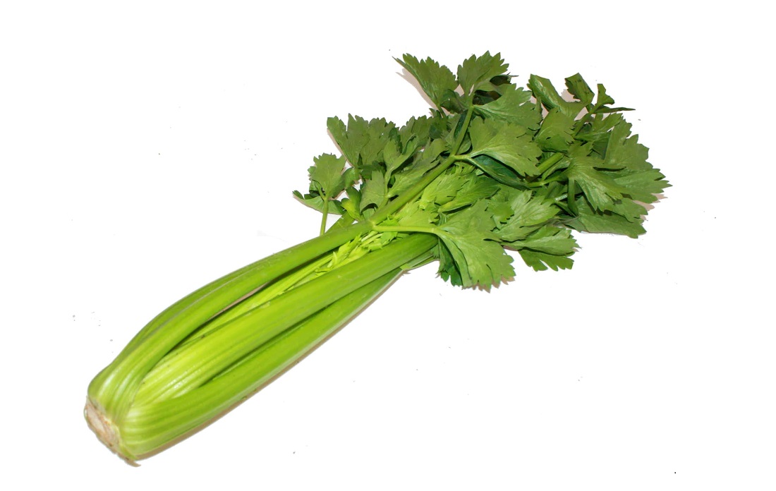 verse groene selder