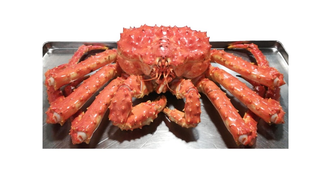 Verse kingkrab