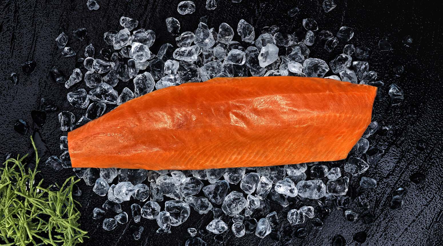 Sockeye wilde zalmfilet