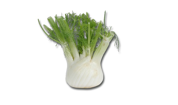 verse venkel