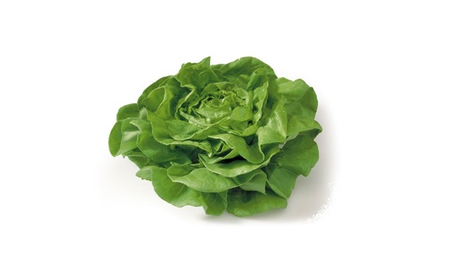 Verse kropsla