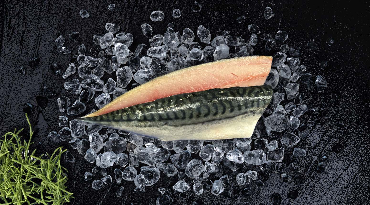 makreelfilet