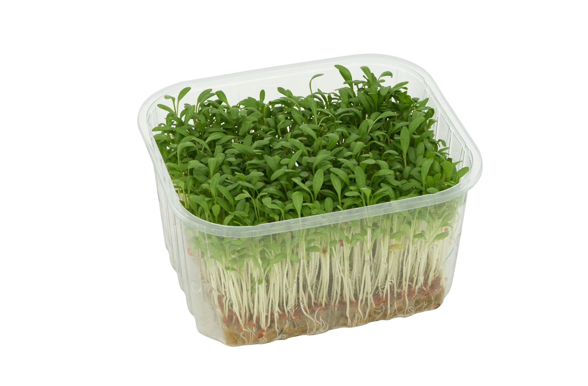 tuinkers cresson