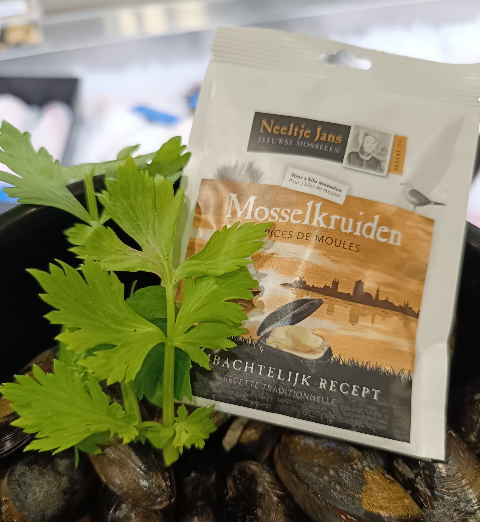 Mosselkruiden – Vishandel STELOY Mortsel