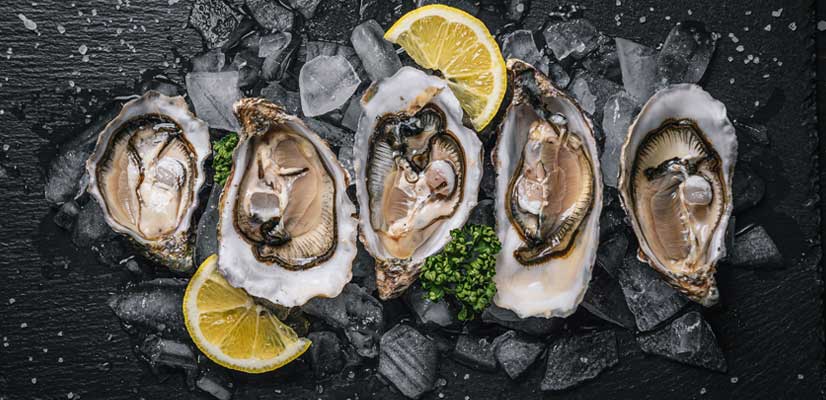 Verse oesters met citroen op ijs