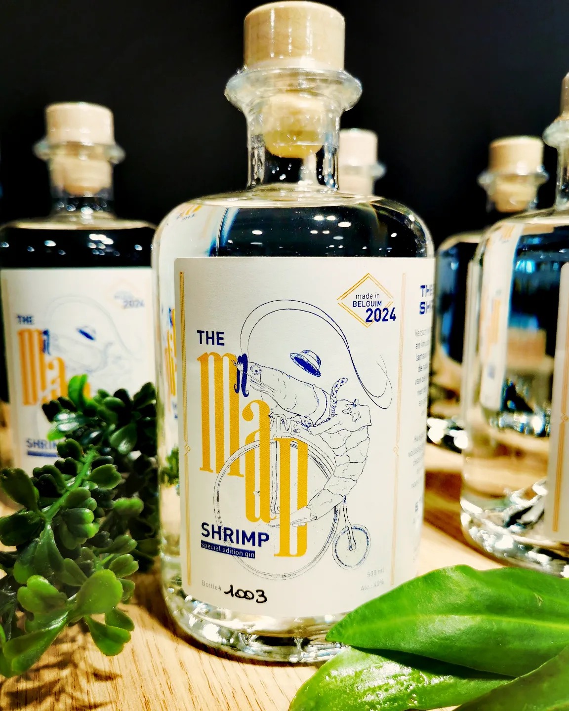 The Mad Shrimp gin – Vishandel STELOY Mortsel