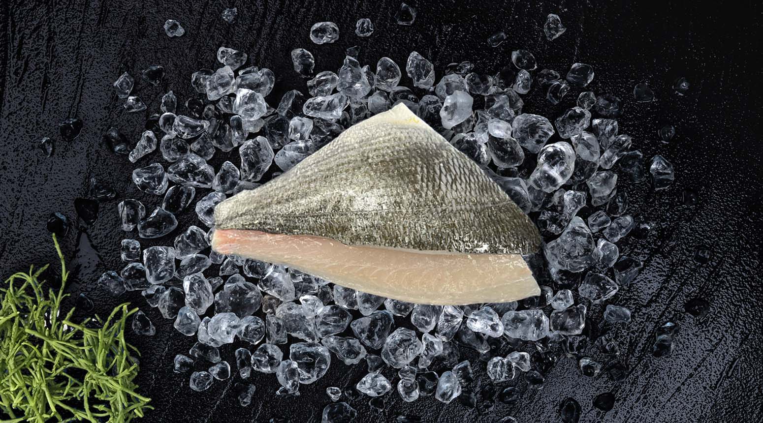 dorade royal - goudbrasem filet