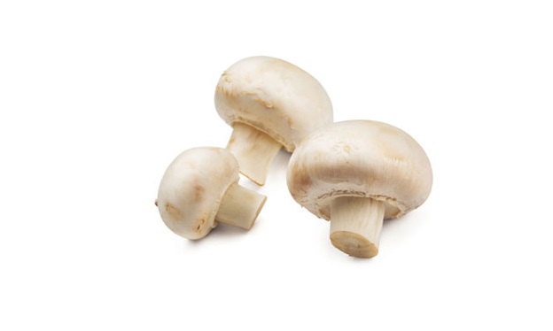 Champignons vers