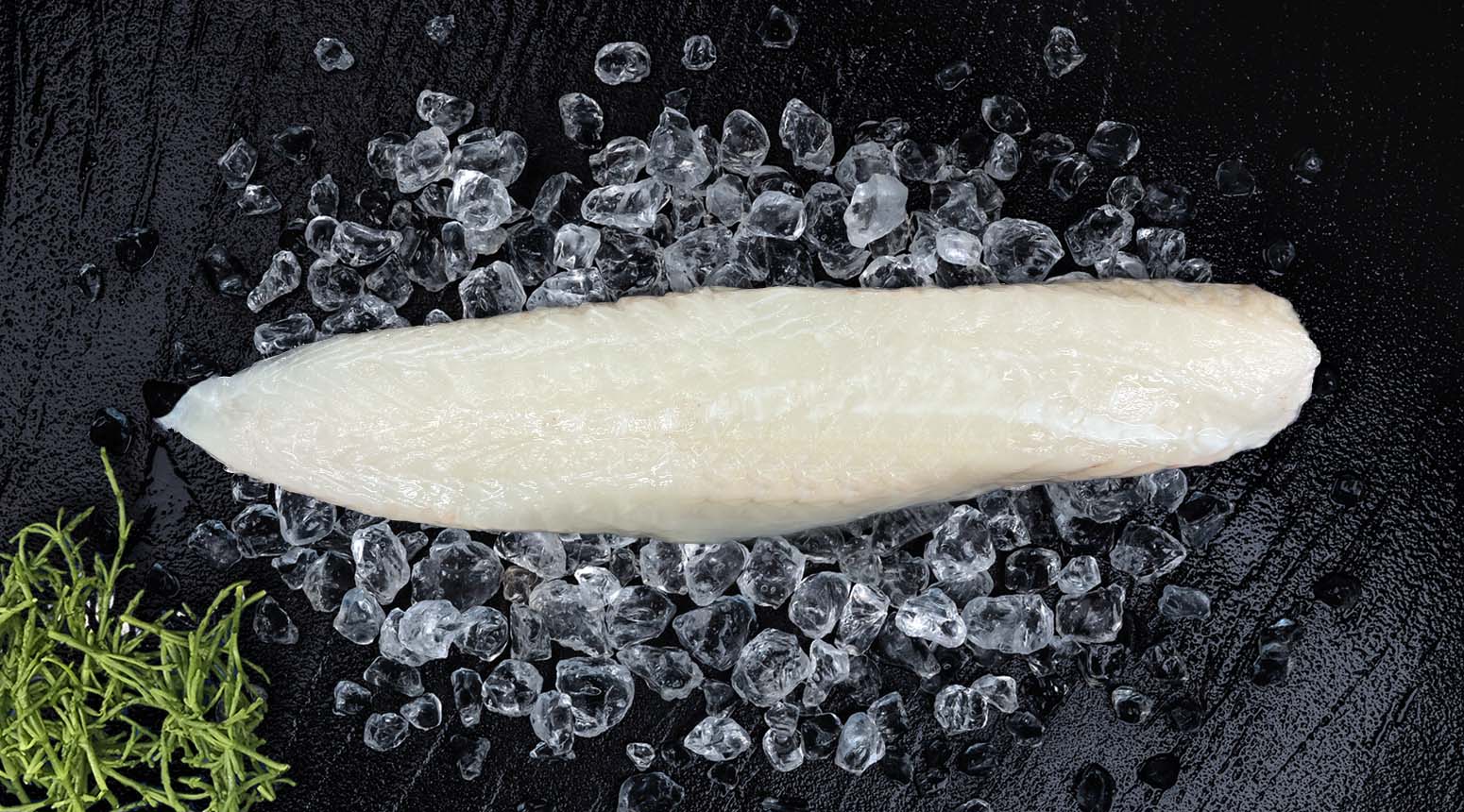 zeeduivelfilet
