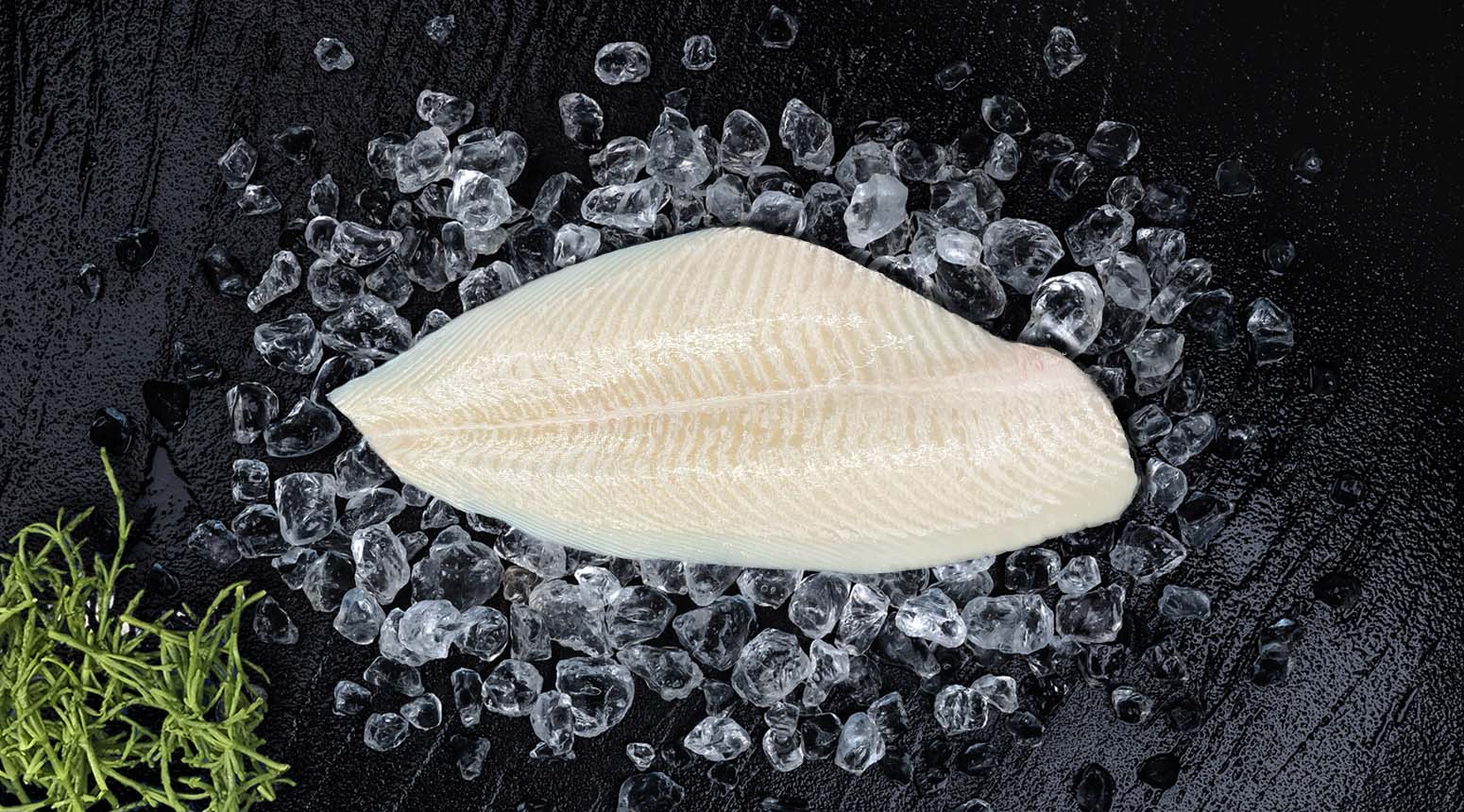 pladijsfilet